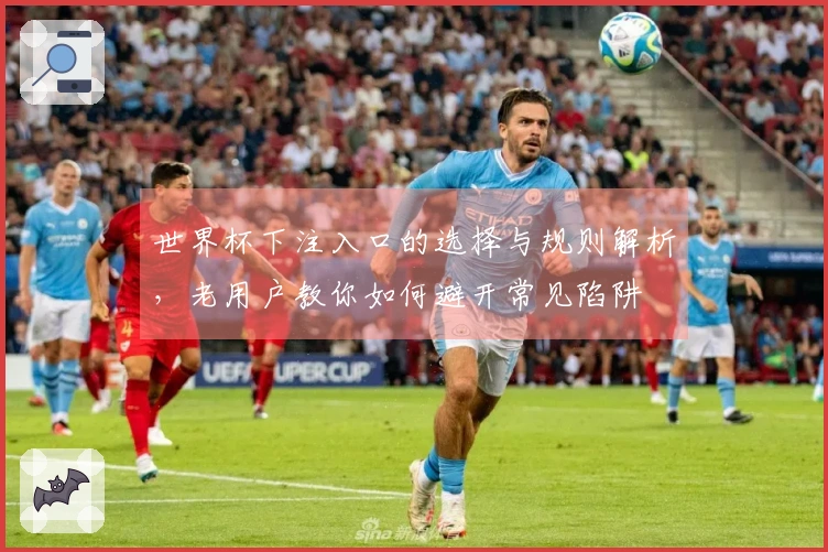 世界杯下注入口的选择与规则解析，老用户教你如何避开常见陷阱