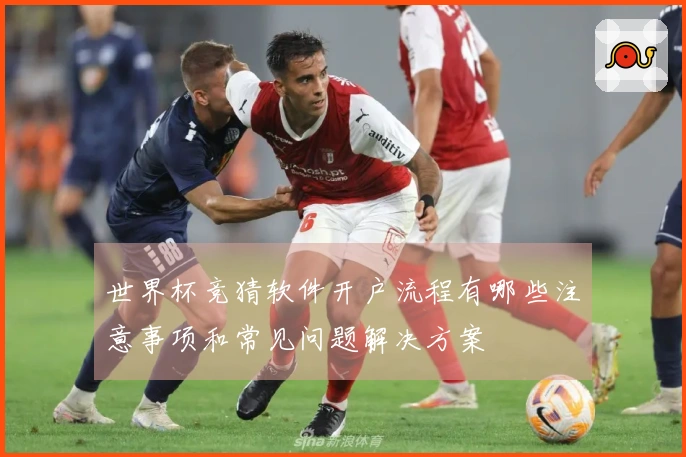 世界杯竞猜软件开户流程有哪些注意事项和常见问题解决方案