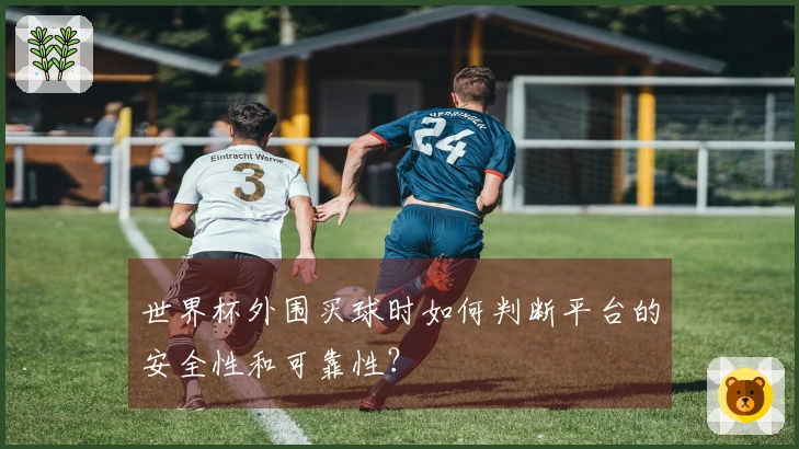 世界杯外围买球时如何判断平台的安全性和可靠性？