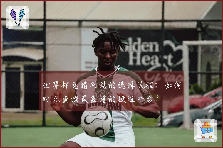 世界杯竞猜网站的选择流程：如何对比查找最靠谱的投注平台？