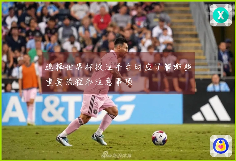 选择世界杯投注平台时应了解哪些重要流程和注意事项