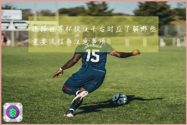 选择世界杯投注平台时应了解哪些重要流程和注意事项